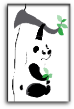 Panda Associates Ltd